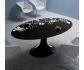 Photo : Table verre ovale LONDON